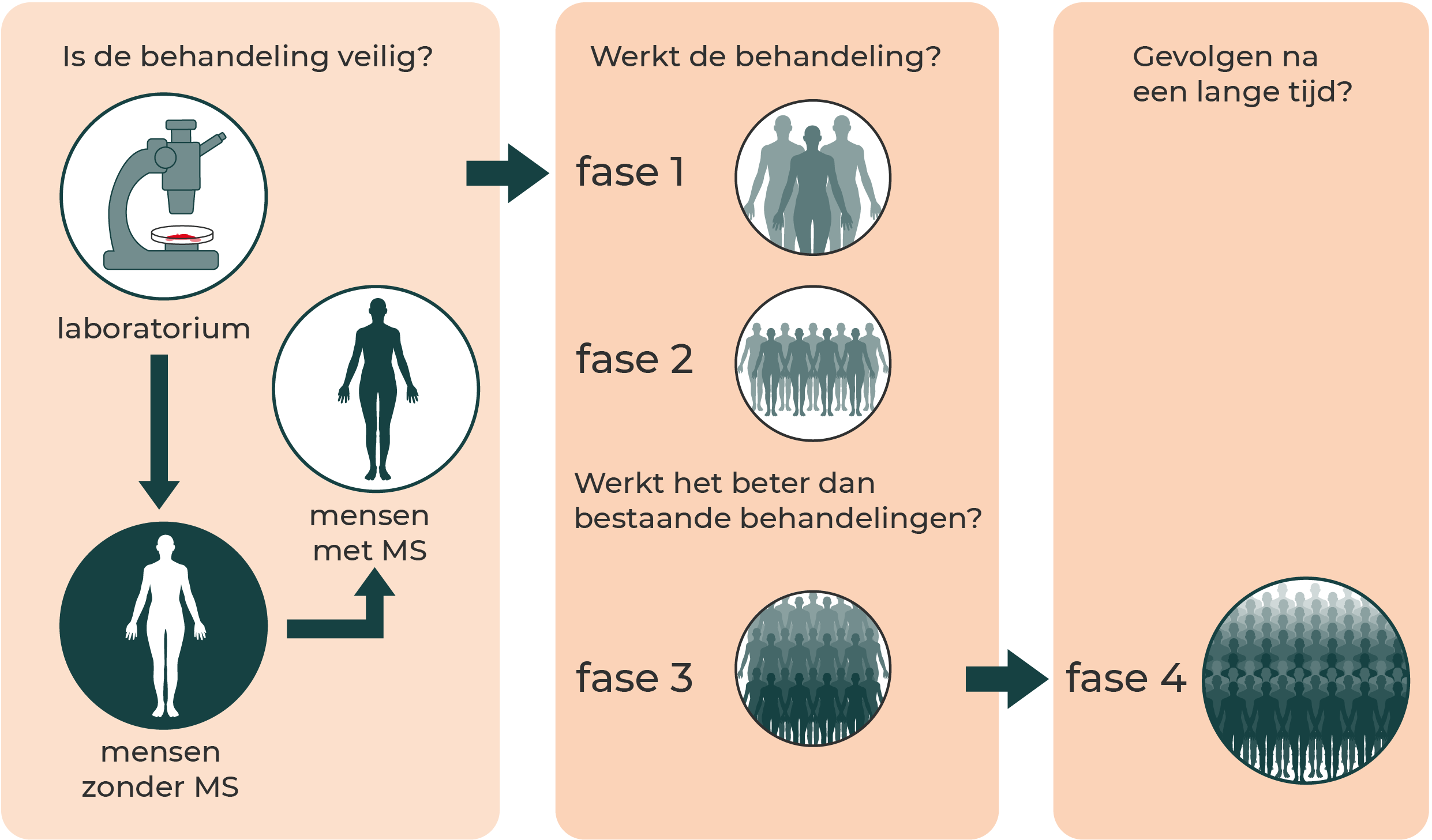 In verschillende fasen van wetenschappelijk onderzoek kijken wetenschappers of een behandeling veilig is en of deze goed werkt. Ook wordt bijgehouden wat de gevolgen zijn na een langere tijd.