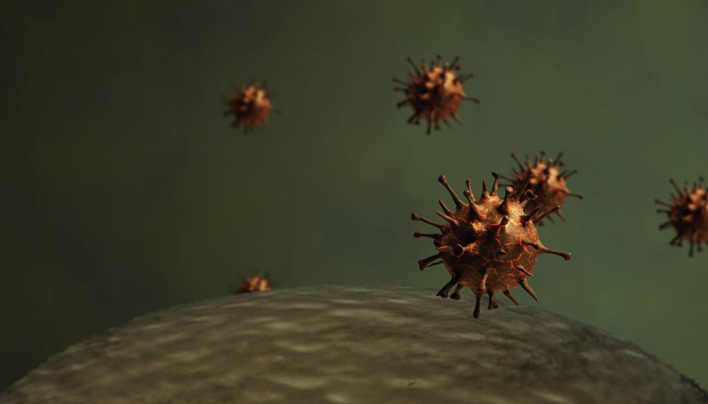 De dubbele dreiging van herpesvirussen 