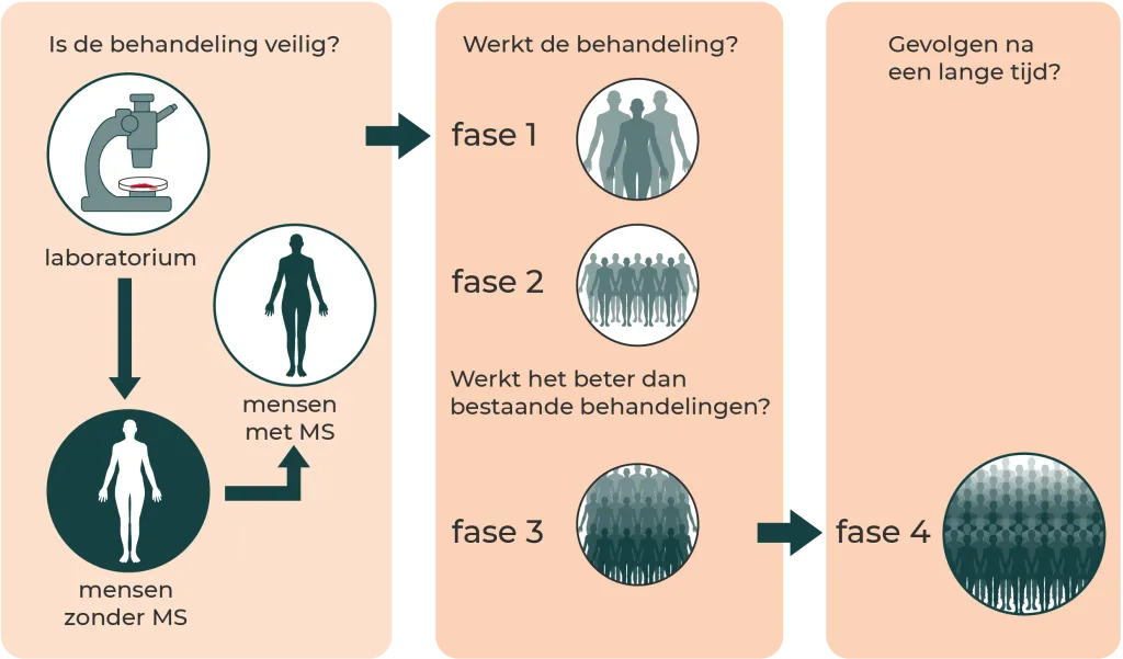 In verschillende fasen van wetenschappelijk onderzoek kijken wetenschappers of een behandeling veilig is en of deze goed werkt. Ook wordt bijgehouden wat de gevolgen zijn na een langere tijd.