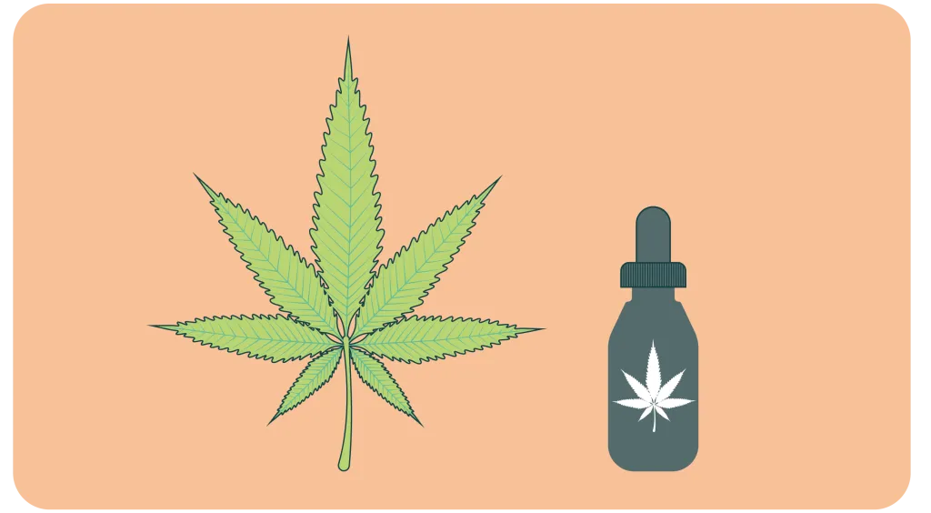 De illustratie laat een cannabisblad zien. Ervoor staat een flesje. Hierop is ook een cannabisplant te zien.