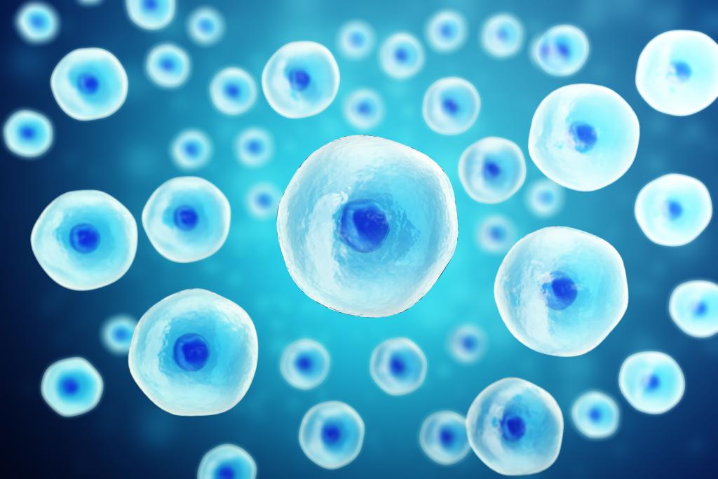 Het effect van autologe hematopoëtische stamceltransplantatie, alemtuzumab en ocrelizumab bij RRMS