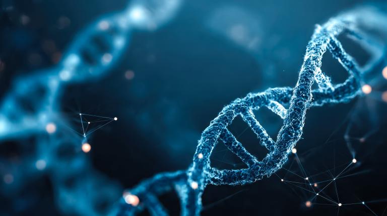 Factoren die de kans op MS vergroten of verkleinen