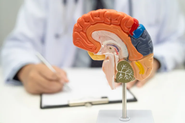 MS en de hersenleeftijd 