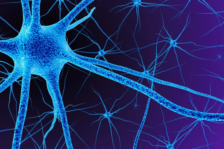 MS Moments: de stand van het onderzoek naar myelineherstel 